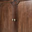 Arshawn Traditional Solid Wood 2 - Door Accent Cabinet With Simple Assembly-1930286554