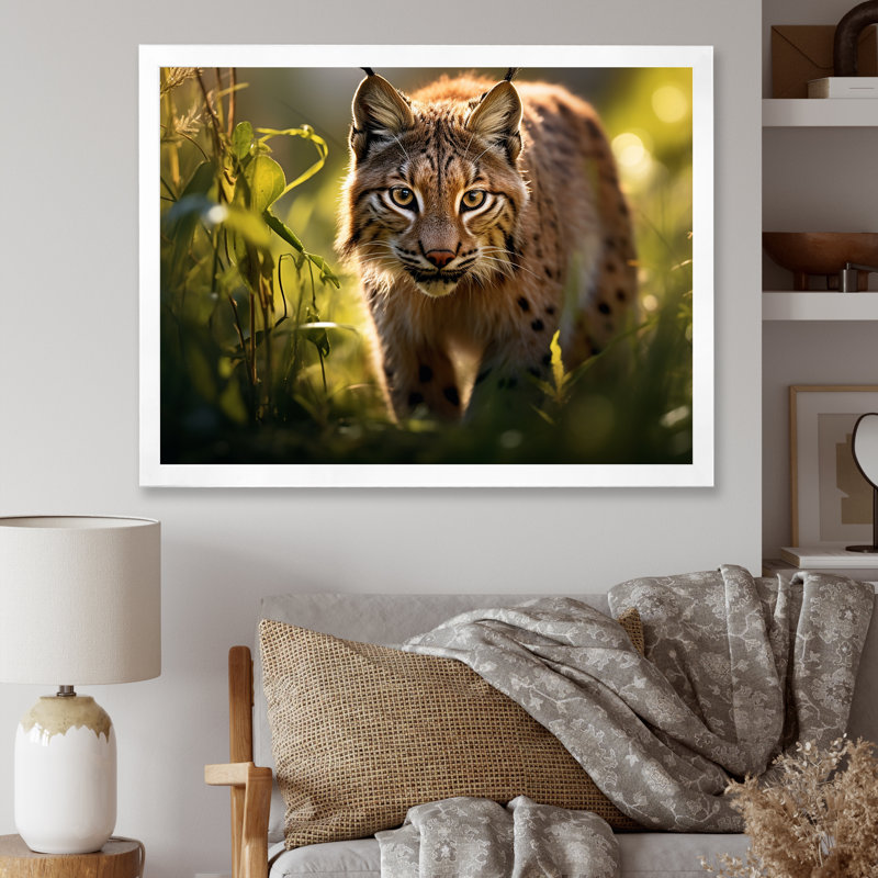 Portrait de lynx brun dans la nature, H 34 po x l 44 po x P 1,5 po, Cadre photo blanc