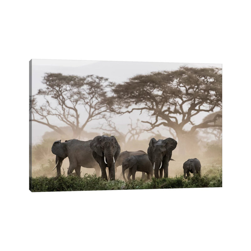 Africa, Kenya, Amboseli National Park. Elephants And Umbrella Thorn Acacia Trees. by Jaynes Gallery - Wrapped Canvas Print