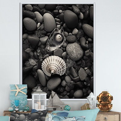 Coquillages et pierres monochromes sur toile