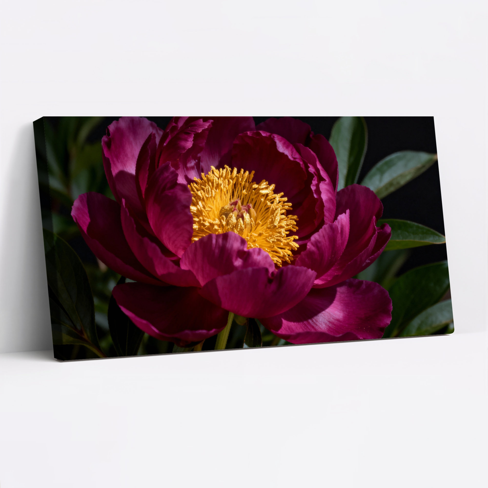 Red Barrel Studio® Peony Flower Canvas Wrapped Wall Art Oil Painting ...