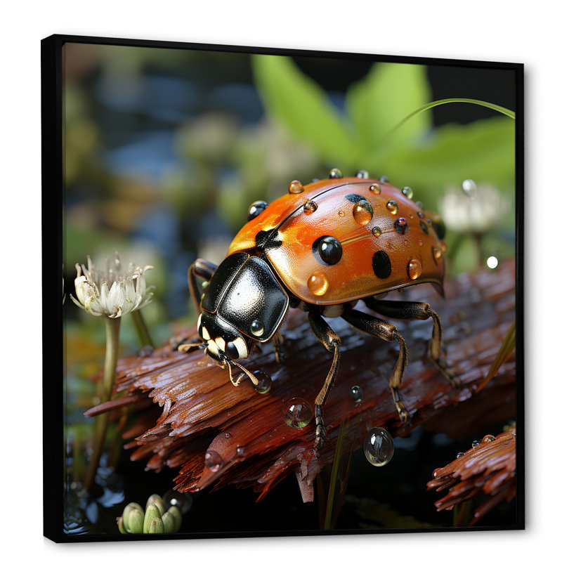 Coccinelle aventureuse III - coccinelle, art mural, Cadre flottant noir, H 36 po x l 36 po x P 1,5 po