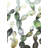 Pattern Opuntia Cactus - Framed Matted Print for Home Decor