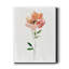 «Happy Bloom I» par Carol Robinson, reproduction d'art sur toile tendue-1753685872
