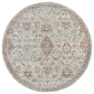 Evoke 255 Performance Oriental Rug
