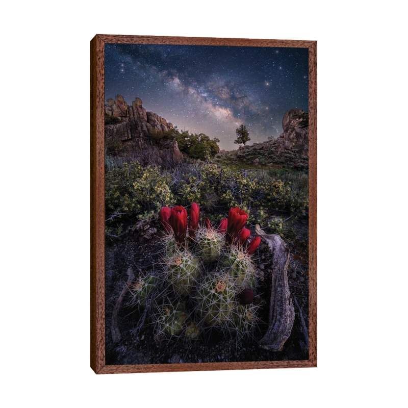 Colorado Nightscape - Claret Cup Cactus With Milky Way Galaxy Night Sky 1 Piece Wall Art on Canvas, Classic Wood