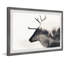 Mountain Deer - photographie avec cadre photo-1645644059