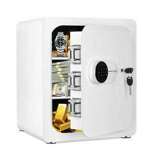 https://assets.wfcdn.com/im/04777043/resize-h310-w310%5Ecompr-r85/2522/252291115/paragon-safes-personal-digital-safe-box-compact-steel-container-money-documents-jewelry.jpg