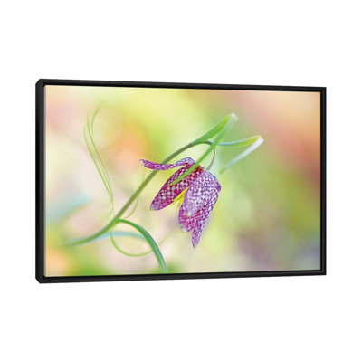Snake's Head Fritillary 1 Piece Floater Frame Wall Art on Canvas