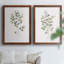 Eucalyptus I - Toile encadrée de qualité supérieure - prête à être accrochée-1043727643-1043727638