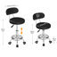 Backed Adjustable Height Ergonomic Lab Stool With Footring Wheels