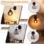 1-Light Black Armed Sconce