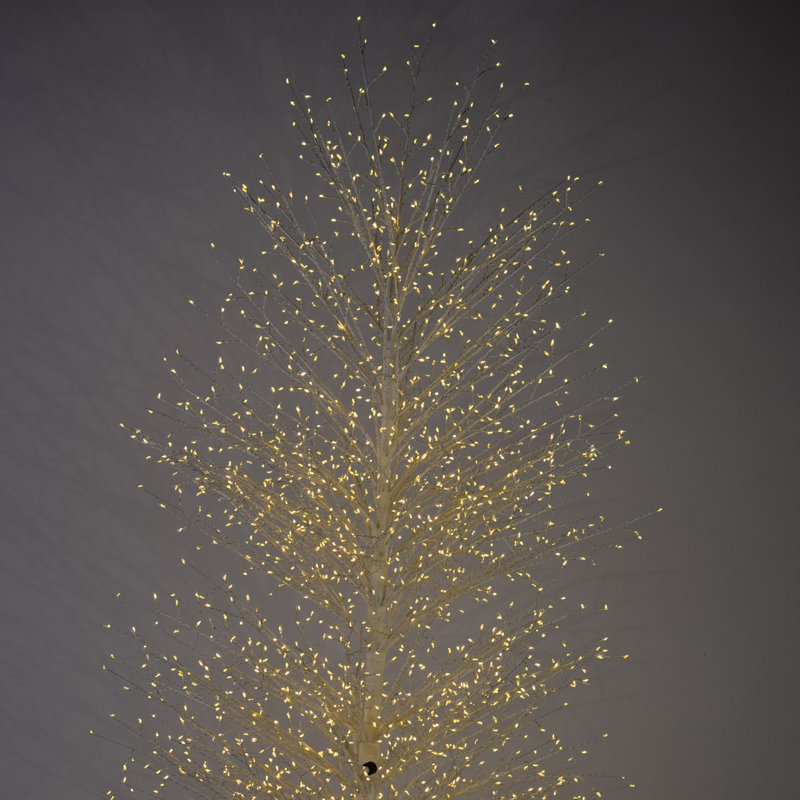 Birch Tree with Warm White LED Lights, 82" H x 19.2" L x 19.2" D, White