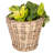 Round Planter With Plastic Insert