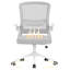 Computer Desk Office Chair with Flip-up Armrests-1710649917