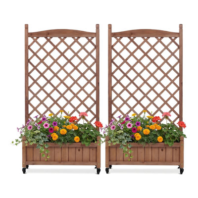  2 Pack Raised Garden Bed With Trellis, 42.3" H Outdoor Solid Fir Wood Planter Box With Wheels, Drainage Holes