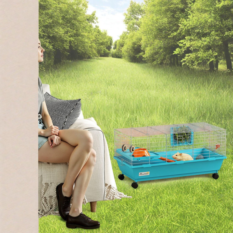 Cages portatives et petits animaux, Habitat mobile en acier pour lapins