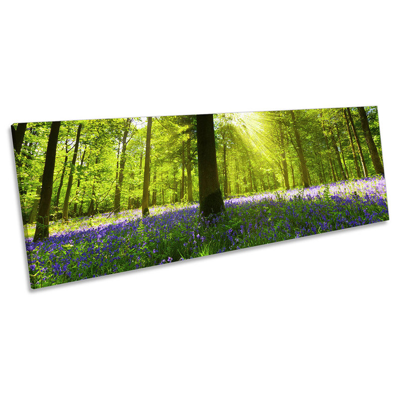 Green Forest Sunlight - Wrapped Canvas Panoramic Art Prints, 45.72cm H x 137.16cm W