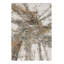 Berkly Abstract Area Rug-206450923
