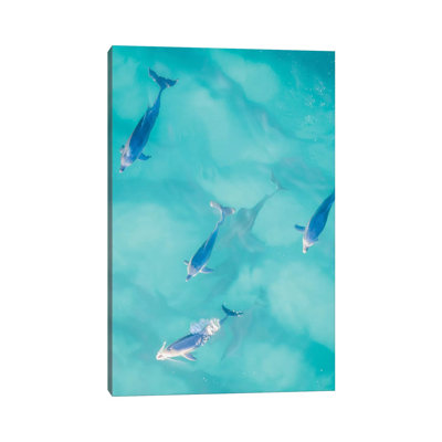 Cruisy Dolphins I by Jaxon Roberts - Wrapped Canvas Print