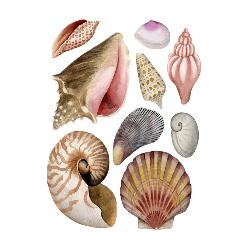 Sea Souvenirs II 1 Piece Wrapped Canvas Wall Art, 122cm H x 81cm W