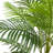 Artificial Palm Tree-1872302222