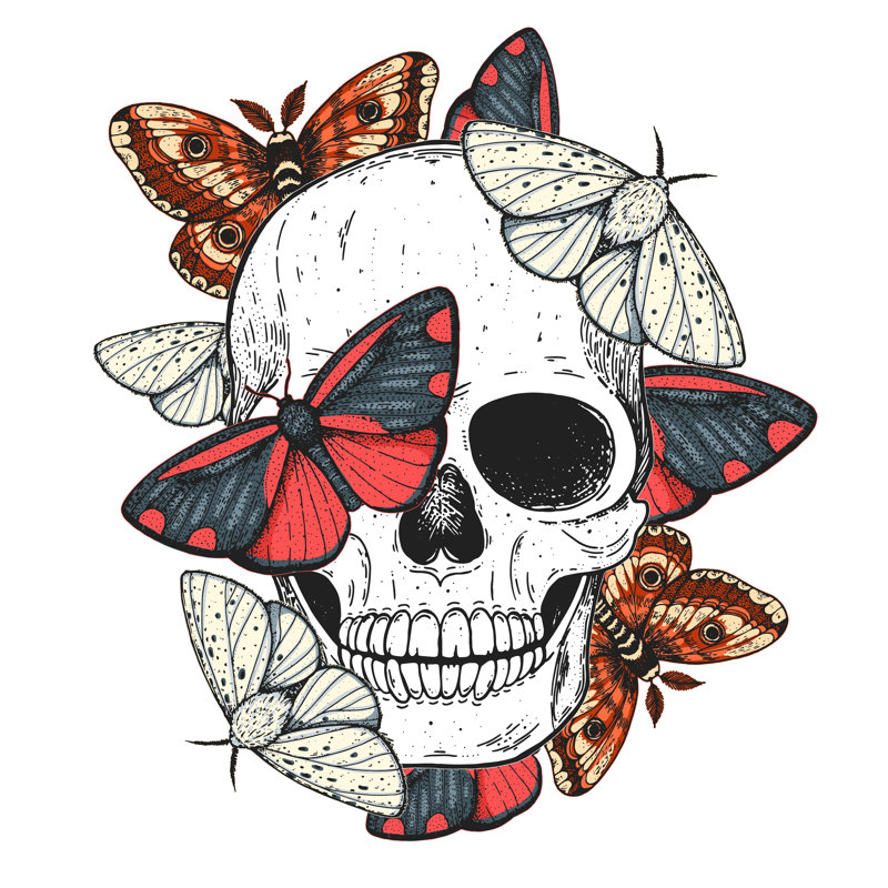 «Ackron Skull And Butterflies On Canvas» par Vidimage, impression, H 12 po x l 12 po