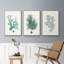 Ensemble de 3 pièces encadrées sur toile Antique Coastal Coral IV-97760319-97760320