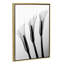 Callas I par Hong Pham - reproduction de photo-49902681-53128233