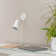 Cauy Plug-in Spotlight