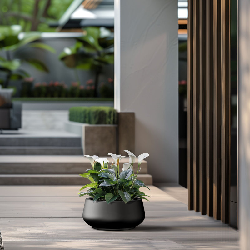 Medium Concrete Round Planter / Pot With Drainage Holes, Charcoal Black, 7.87" H x 16.93" W x 16.93" D