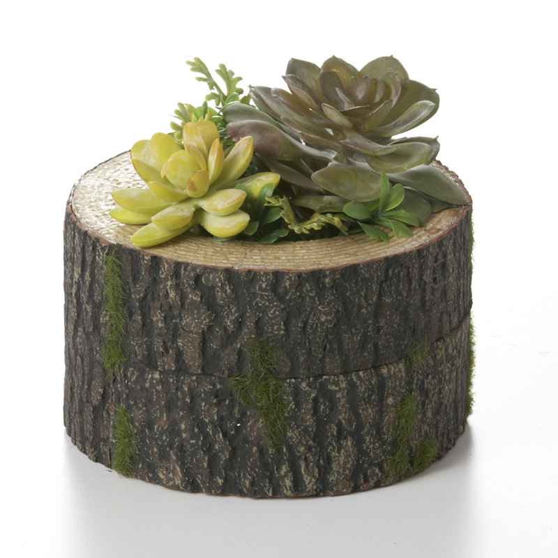 6'' Faux Cactus Succulent in Pot