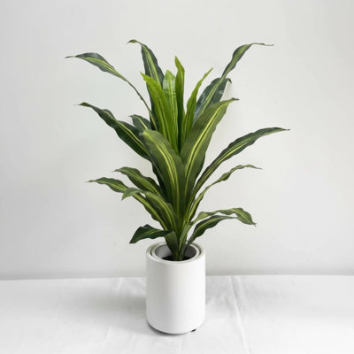 3FT Artificial Dracaena Fragrans (Brazilian Iron Tree) with Vintage White Pot & Yellow Pebbles - Low-Maintenance Faux Plant for Indoor & Outdoor Home Office Decor