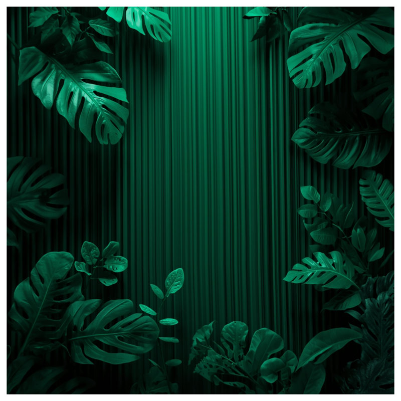 Rideaux de douche à feuillage vert tropical, L 70 po x H 72 po