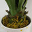 55cm Faux Yucca Tree in Pot Liner
