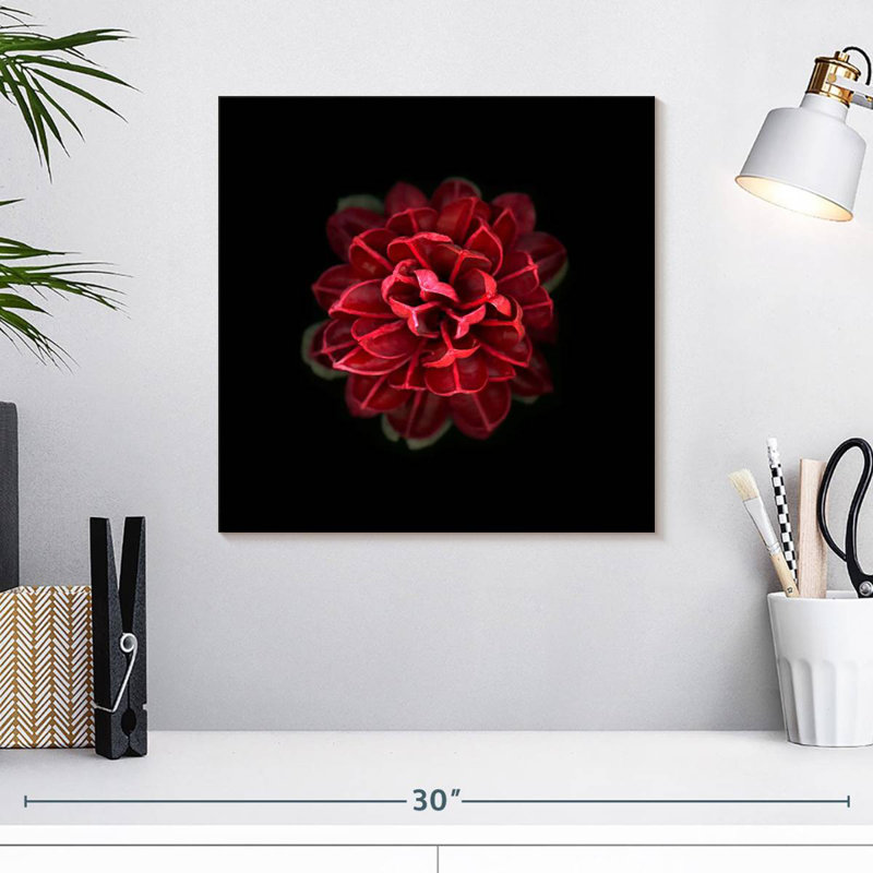 Harnek In Red, 16" H x 16" W