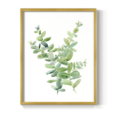 Eucalyptus III Framed Print - Solid Wood