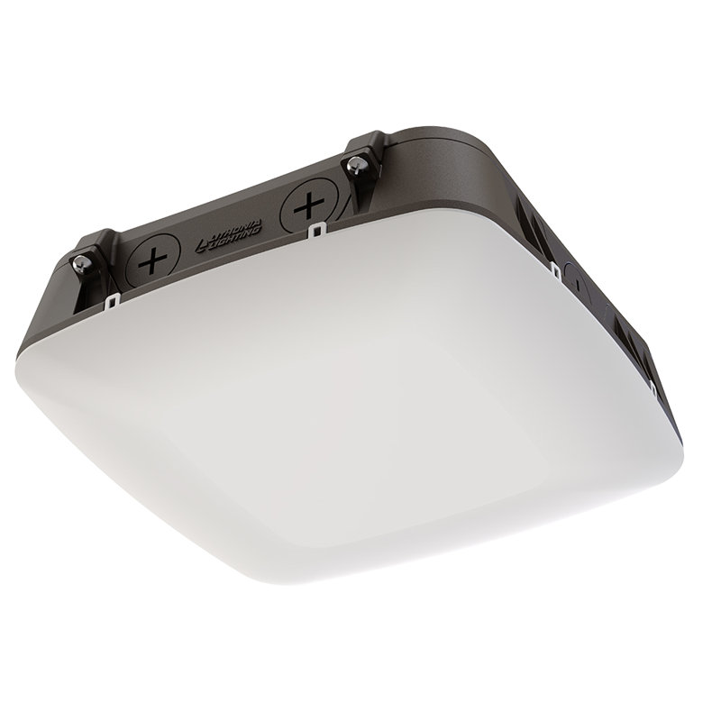 Lithonia Security Light