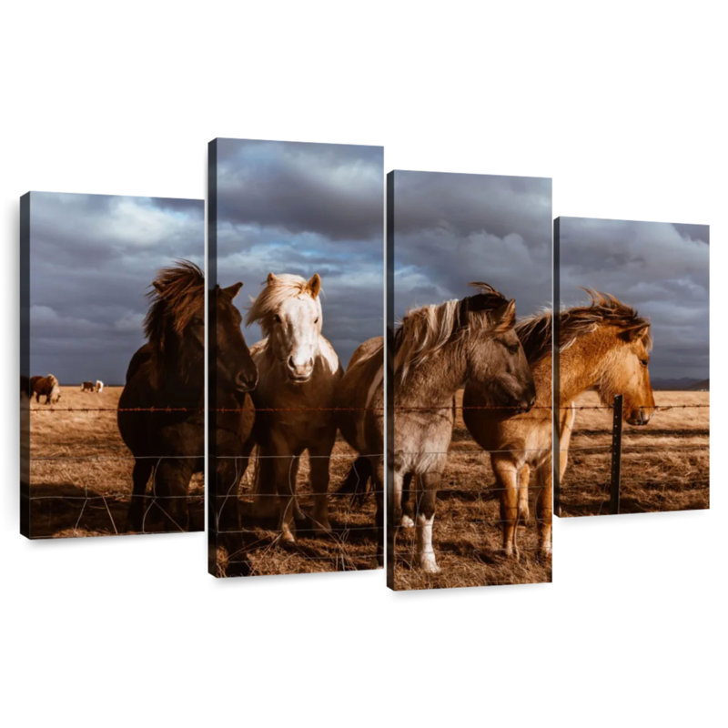 Iceland Pony, 48" H x 75" W