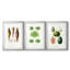 Variétés de fruits et légumes VI - Impression sur mesure encadrée de qualité supérieure - 3 pièces