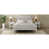 Blanc antique est en rupture de stock