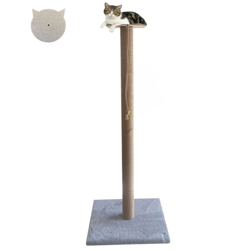 Grattoir pour chat, Gris