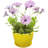 Round Ceramic Flower Pot Planter