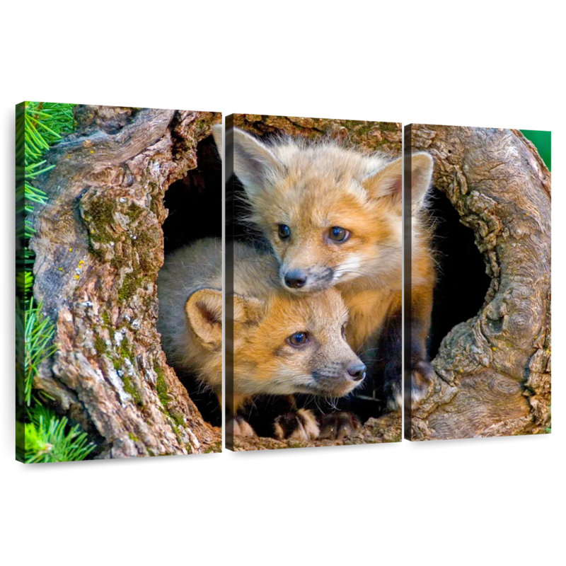 Brampt Fox Pops In Hollow Log, 42" H x 65" W