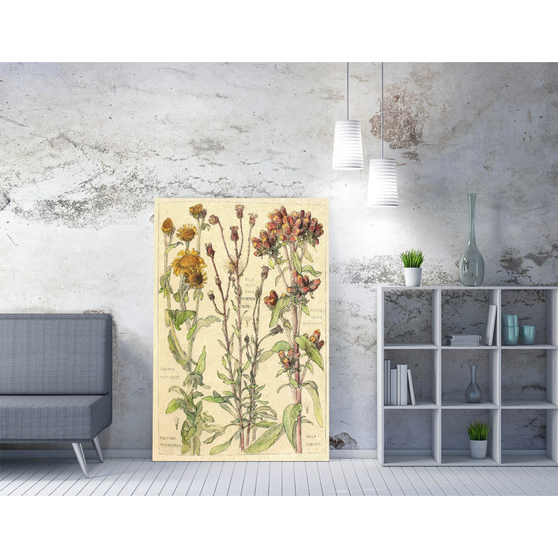 Print, 31 cm H x 21 cm W