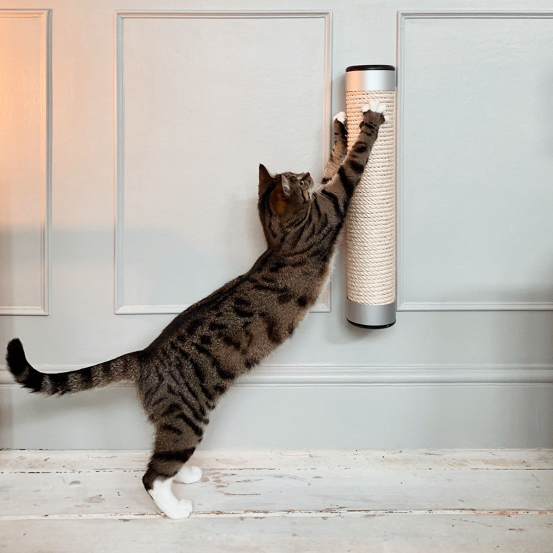 Deem Scratching Post, 50cm H x 10cm W x 12cm D