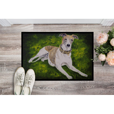Non-Slip Outdoor Doormat