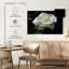 Harnek Dewdrops sur une rose blanche-107497045