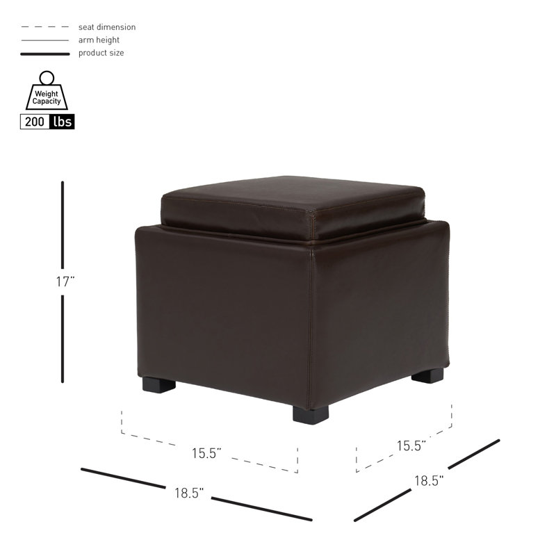 Aracri Upholstered Storage Ottoman, Brown