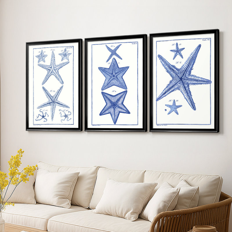 Blue Sea Stars I - Toile tendue avec châssis sur mesure - 3 pièces, Noir, H 21 po x l 30 po
